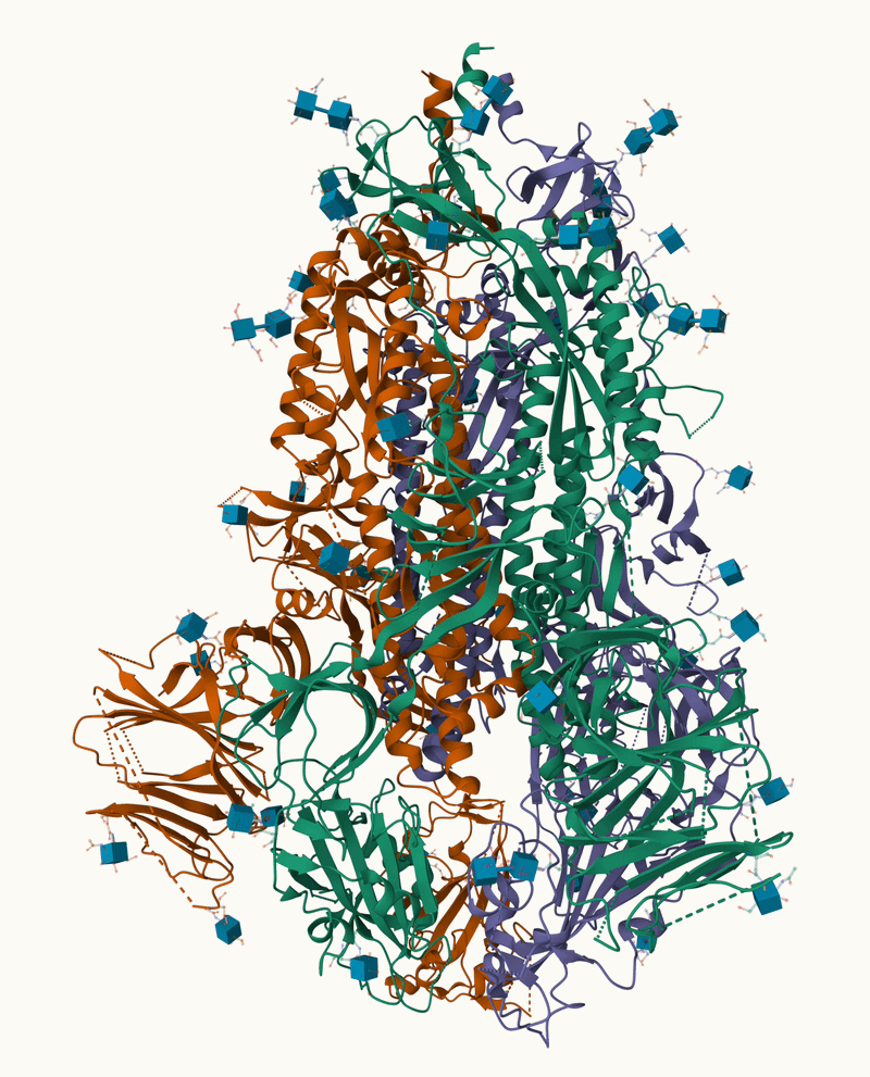 蛋白质三维结构可视化